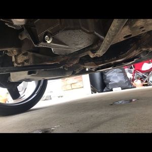 Meet your Posher, Oscar